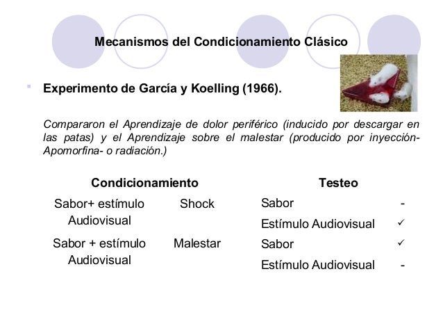 experimento condicionamiento clasico aversion a sabores